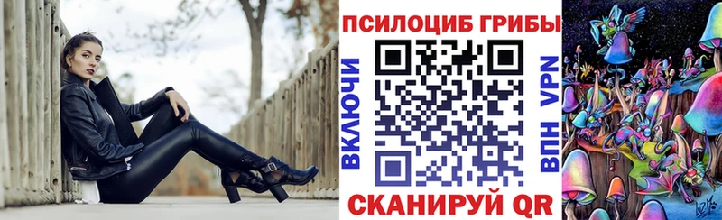 закладки  мега зеркало  Галлюциногенные грибы GOLDEN TEACHER  Дыгулыбгей 